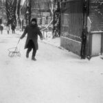 Photo sleigh ride